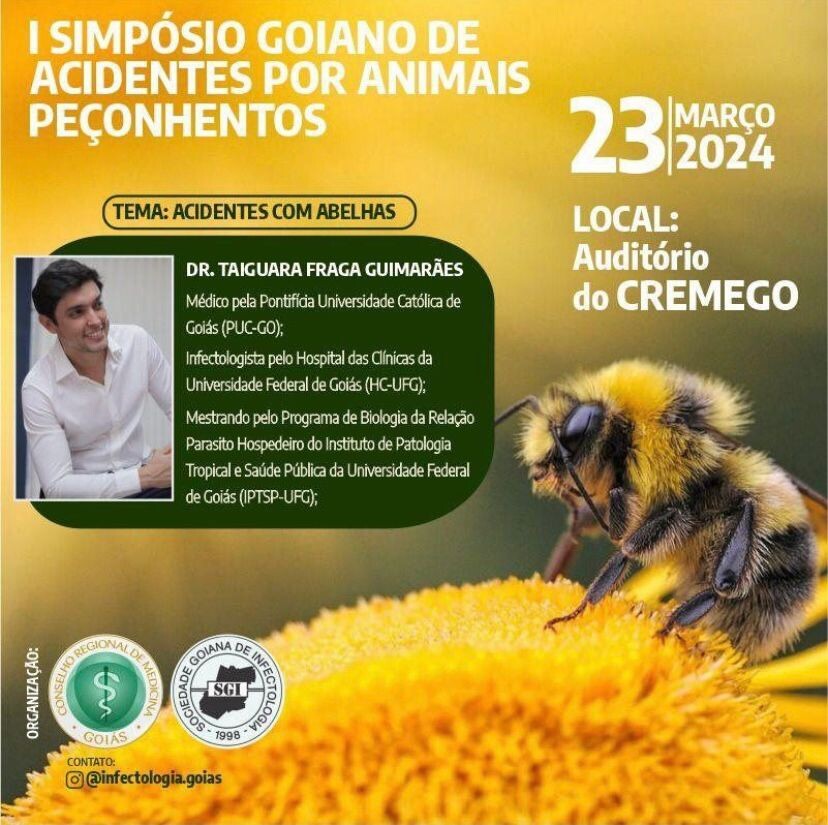 acidentes com abelhas 