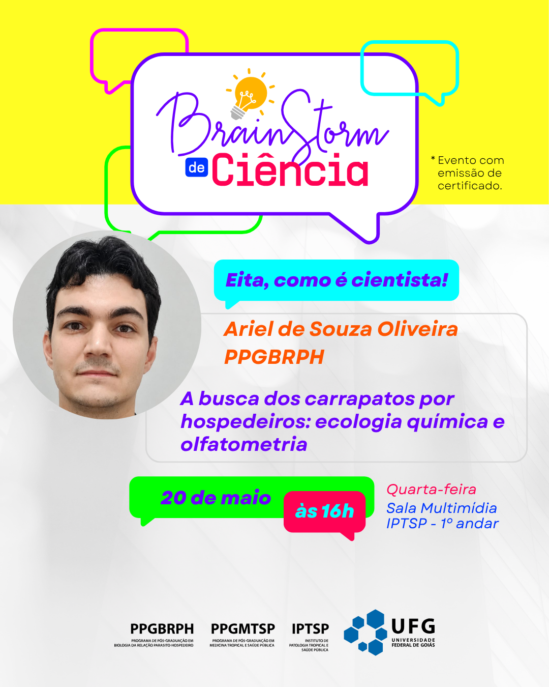  ariel souza Brainstorm_-_feed_(1).png