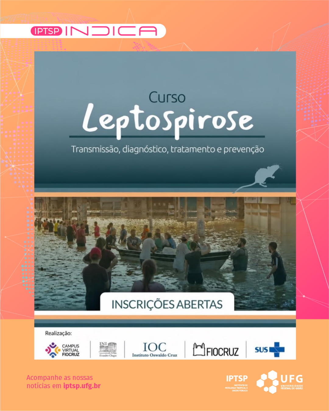 leptospirose feed