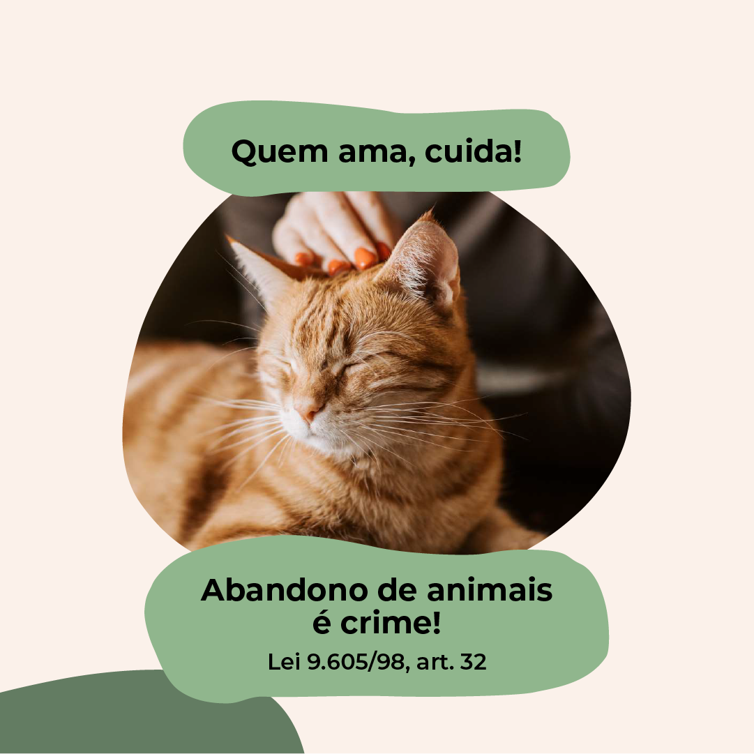  esporotricose_-_feed_(6).png