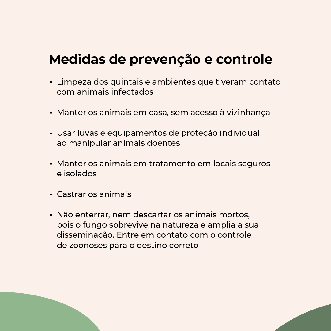  esporotricose_-_feed_(8).png