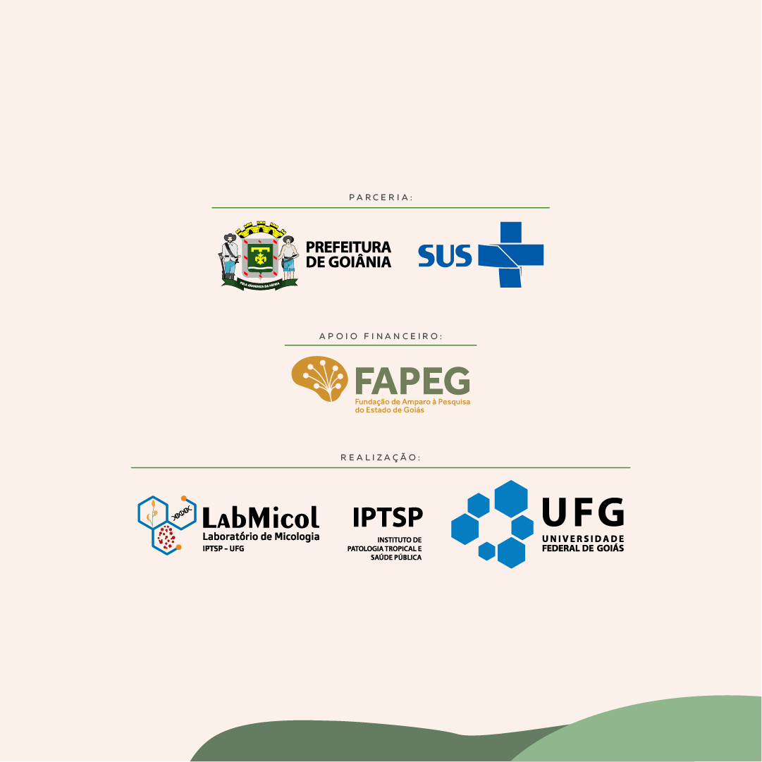  esporotricose_-_feed_(9).png