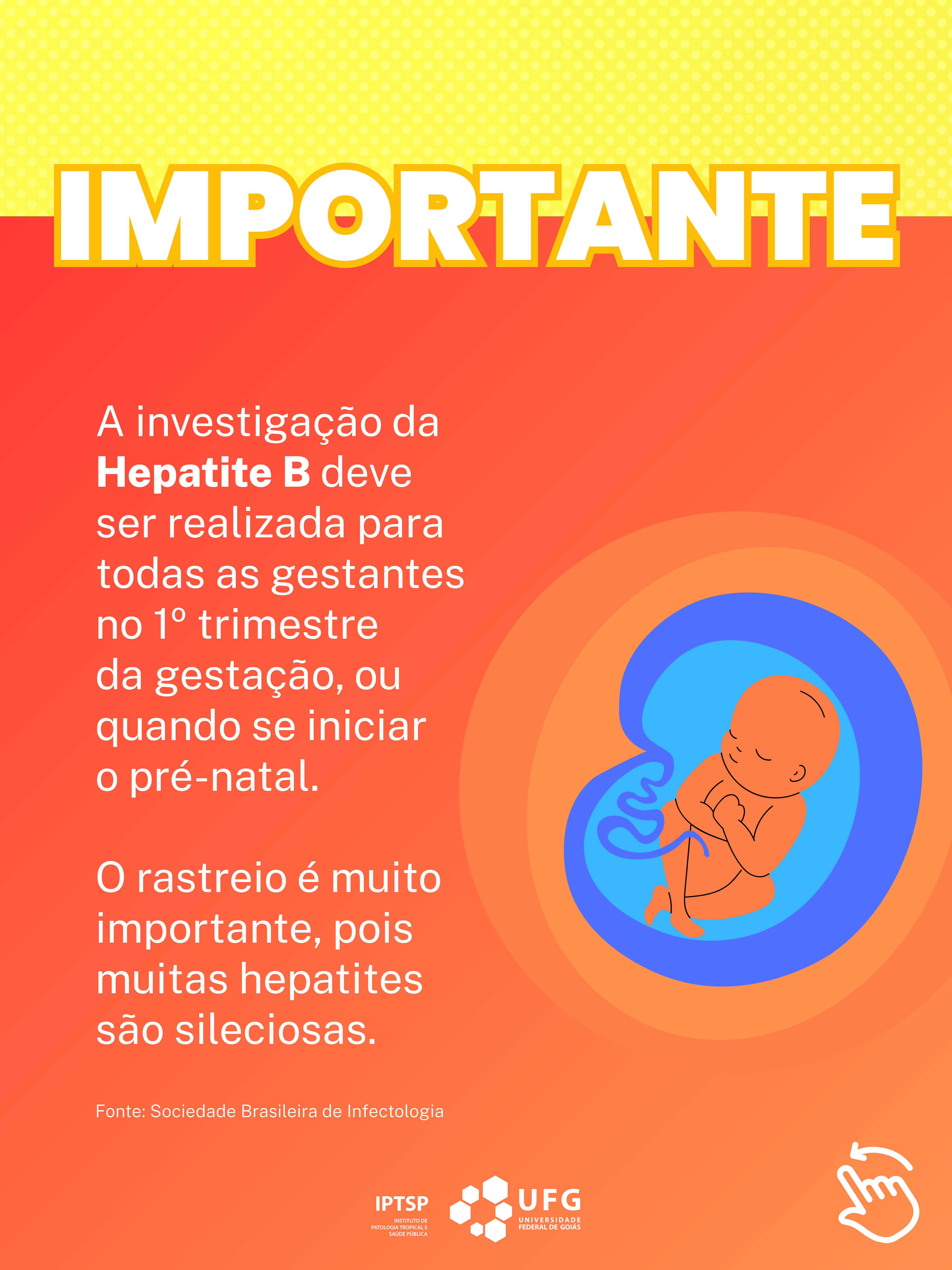 feed hepatites virais (1).png
