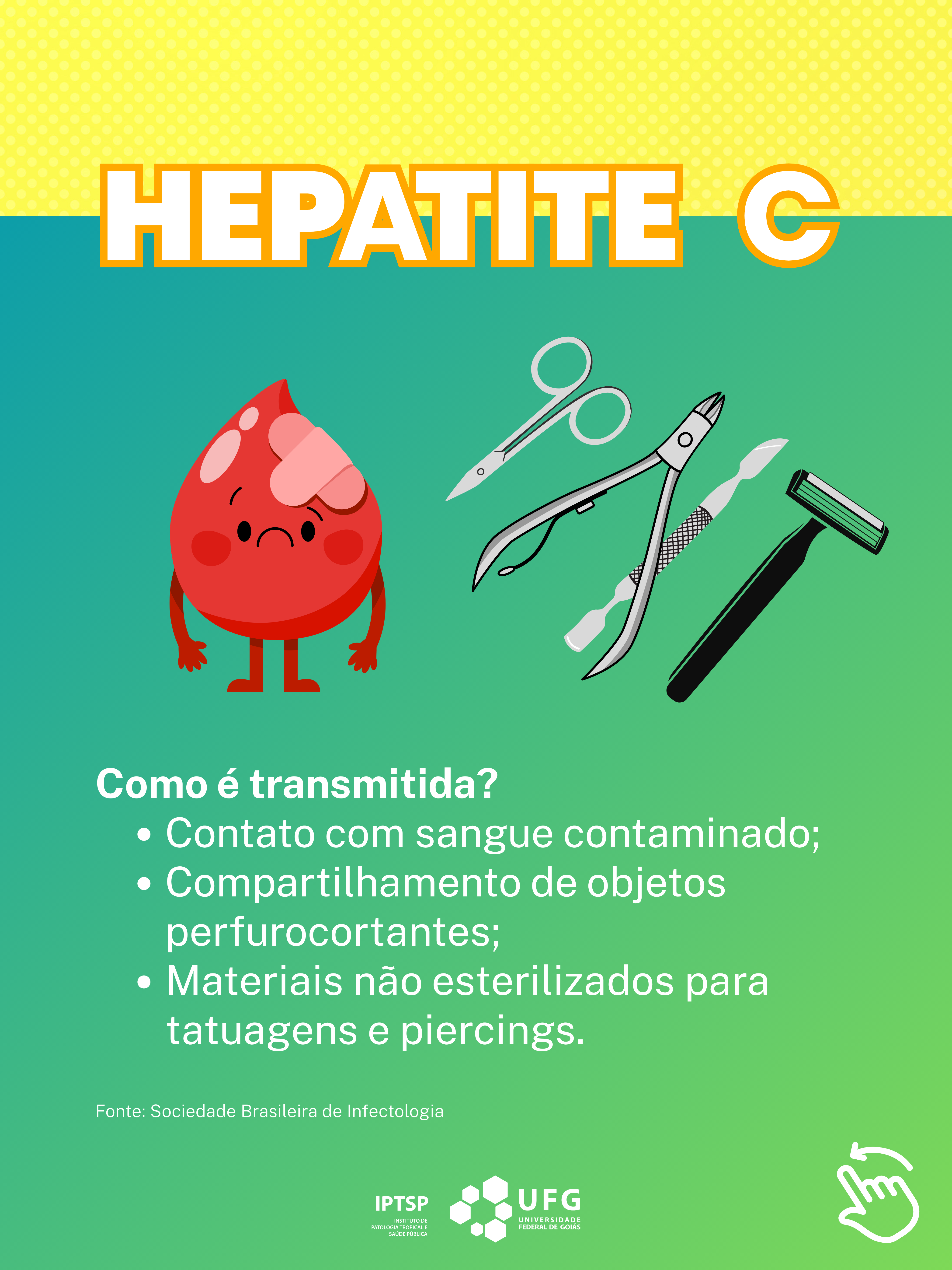 feed hepatites virais (2).png