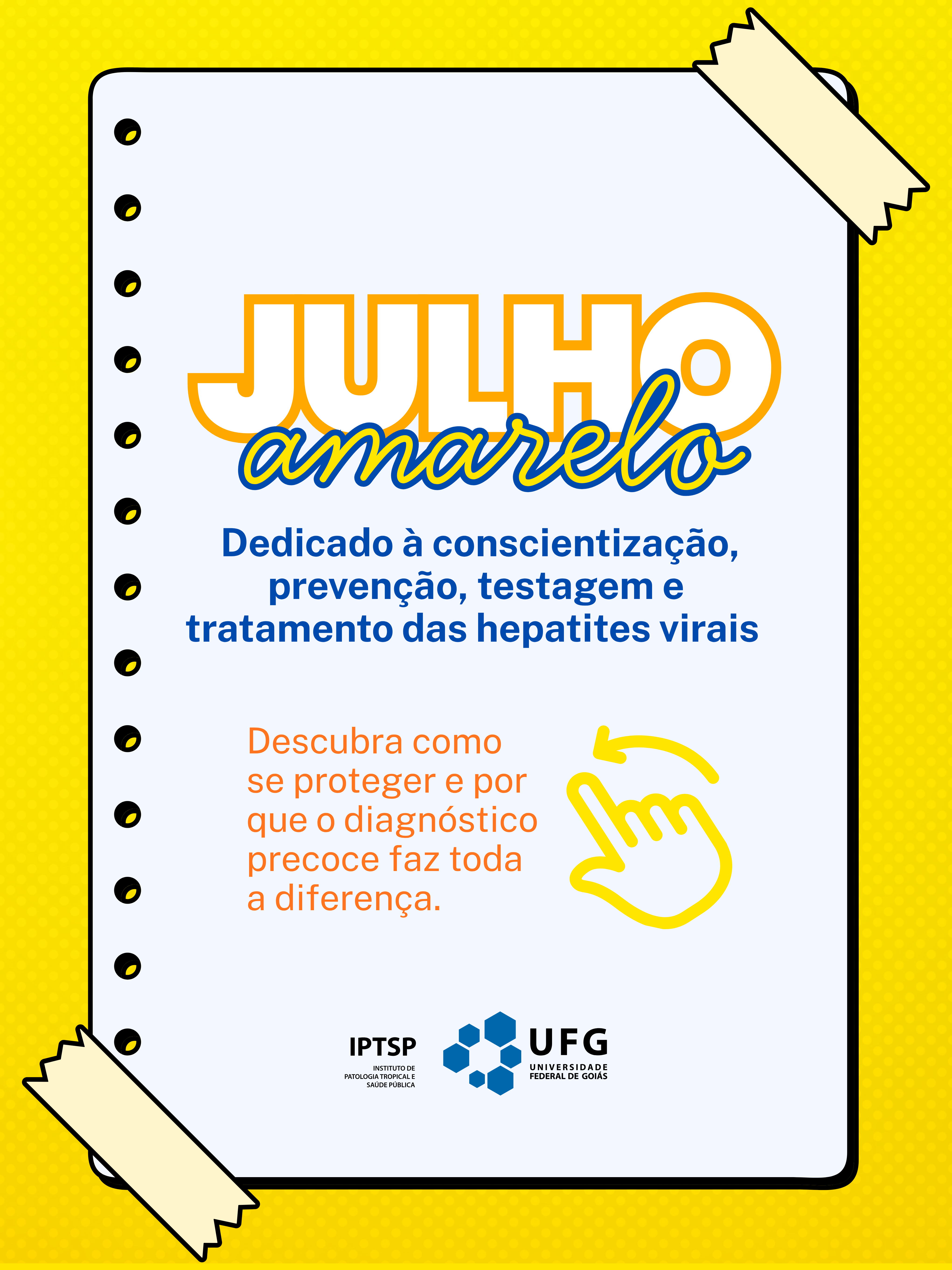 feed hepatites virais (7).png