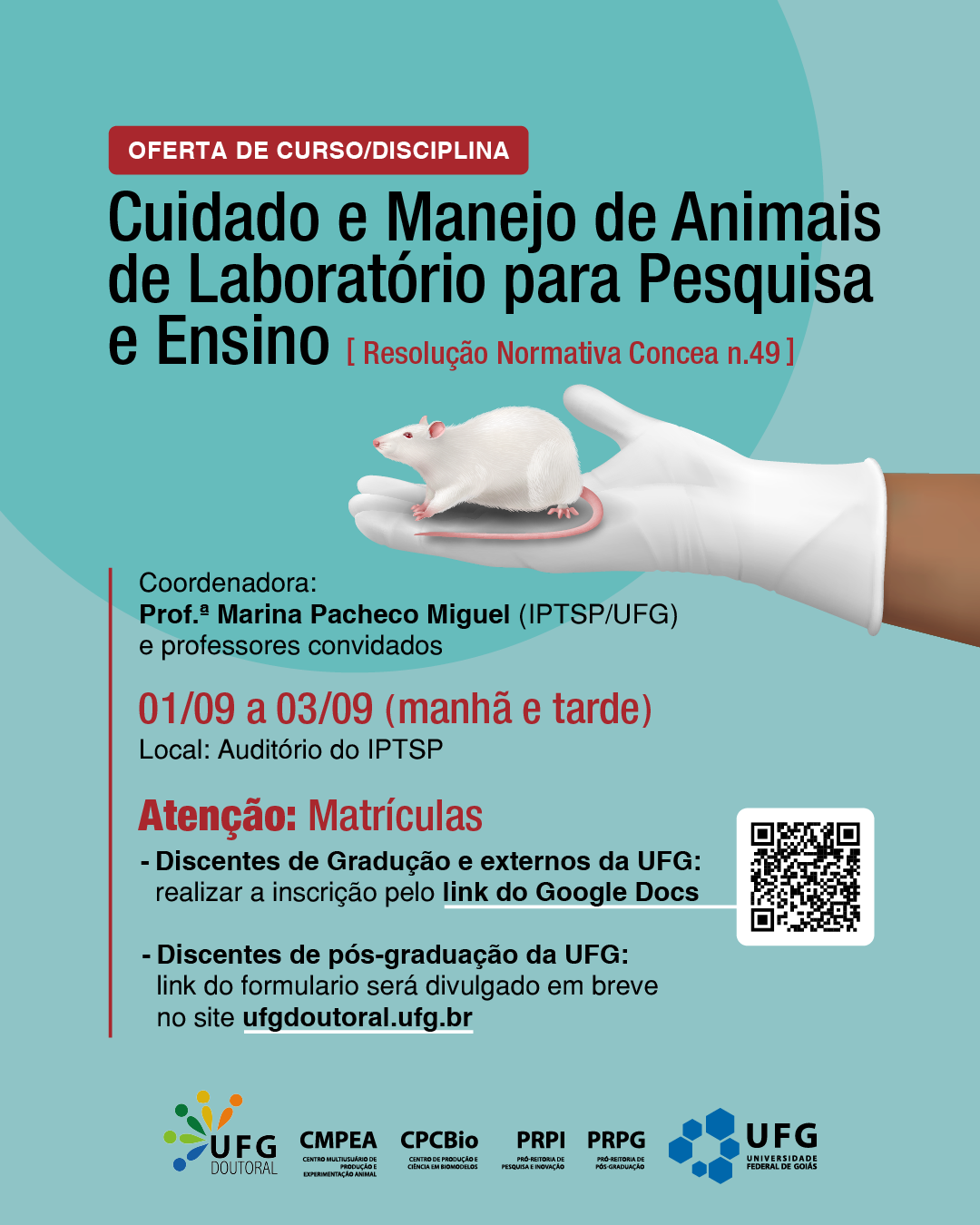 curso manejo feed