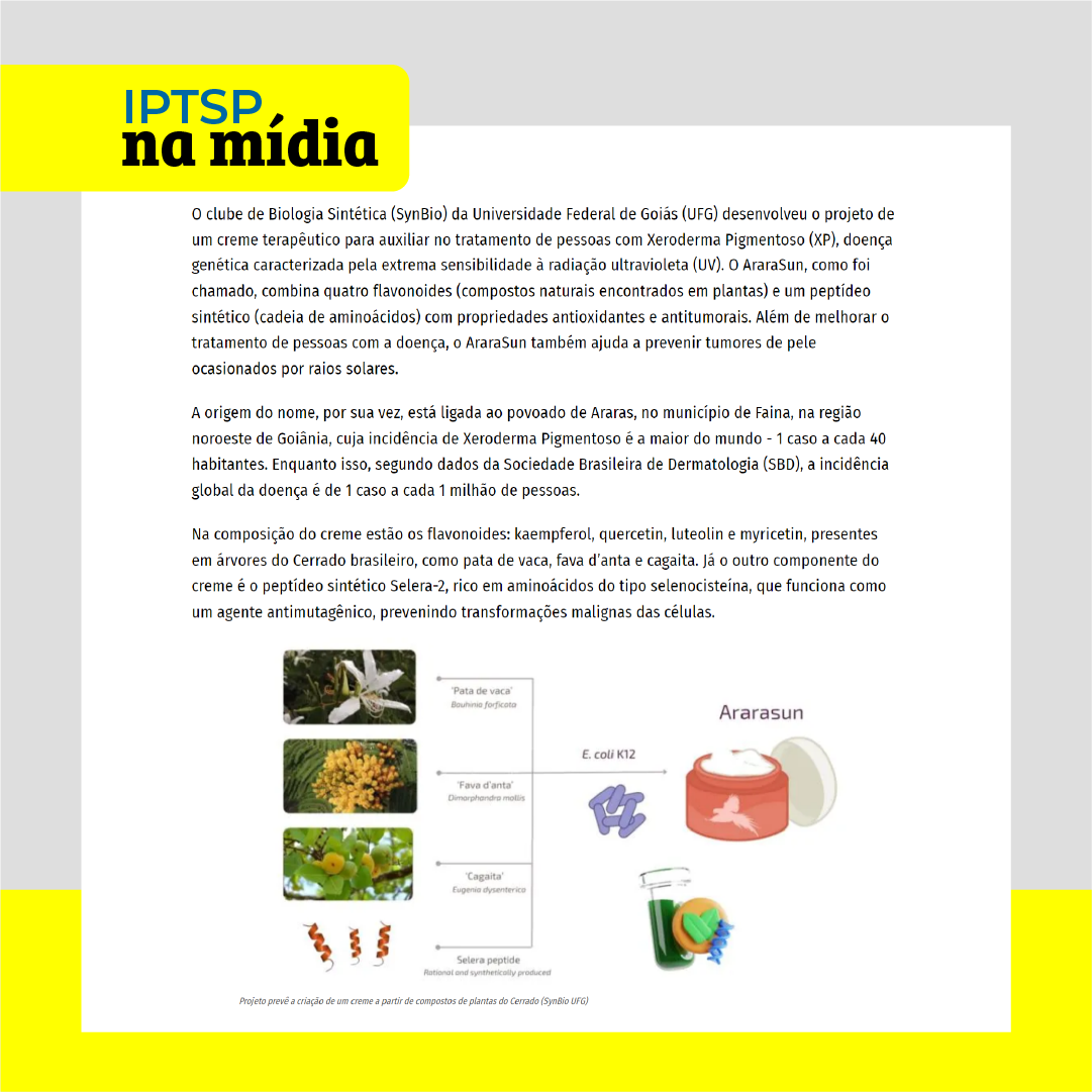  na mídia ararasun - feed 2.png