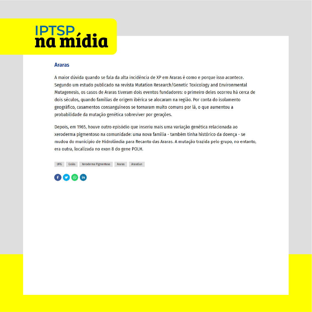  na mídia ararasun - feed 4.png