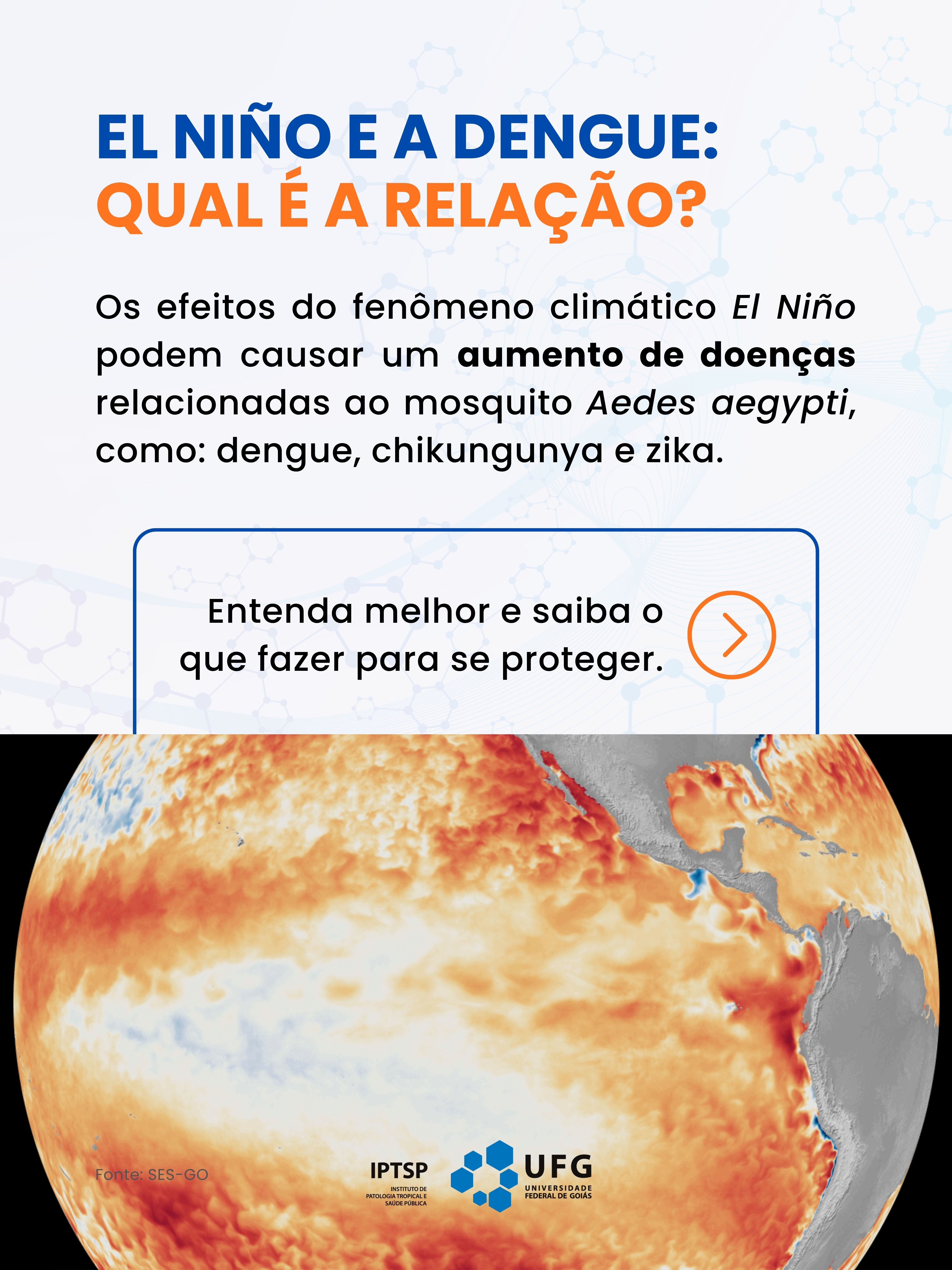  post dengue (3).jpg