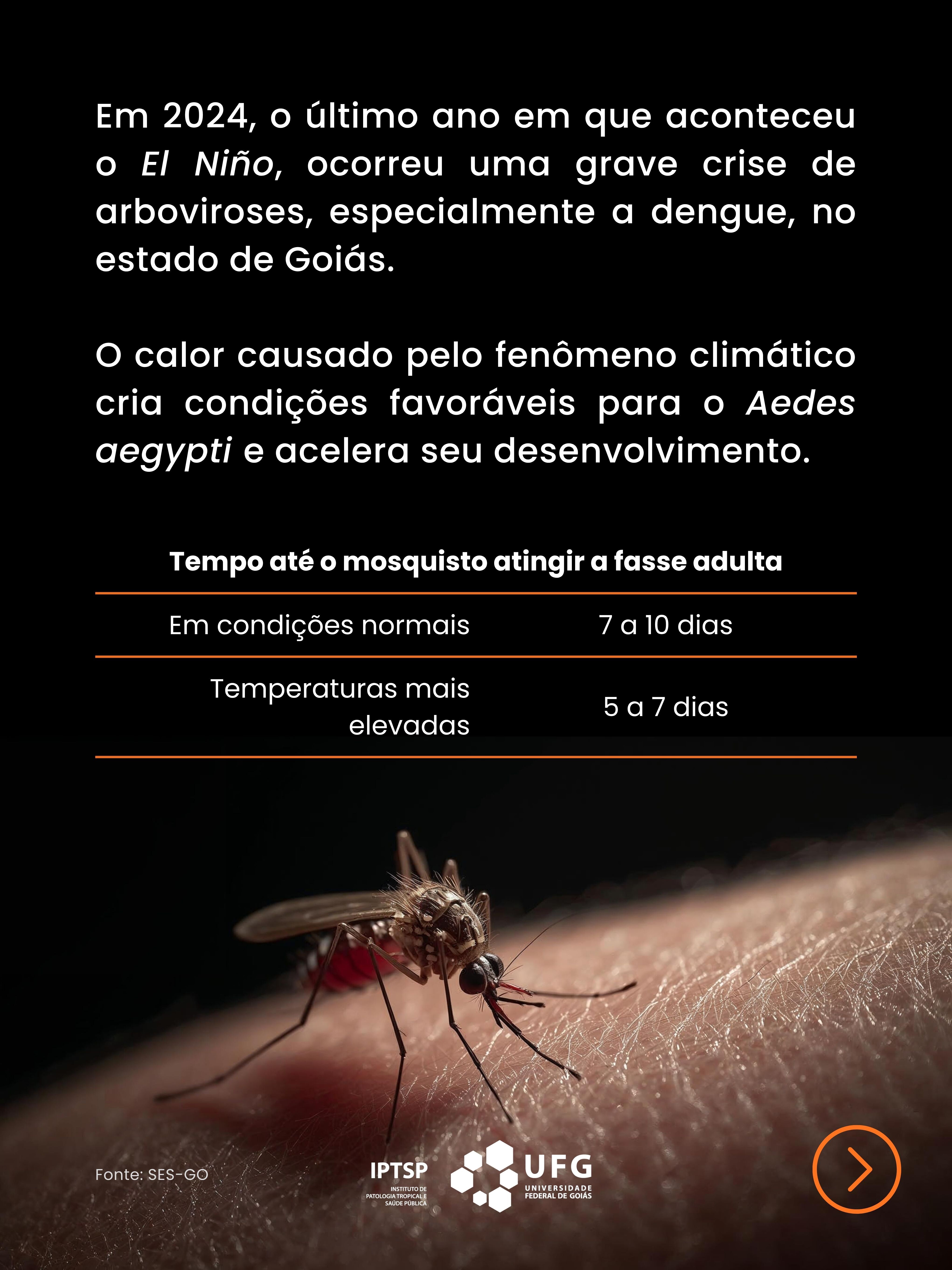  post dengue (5).jpg