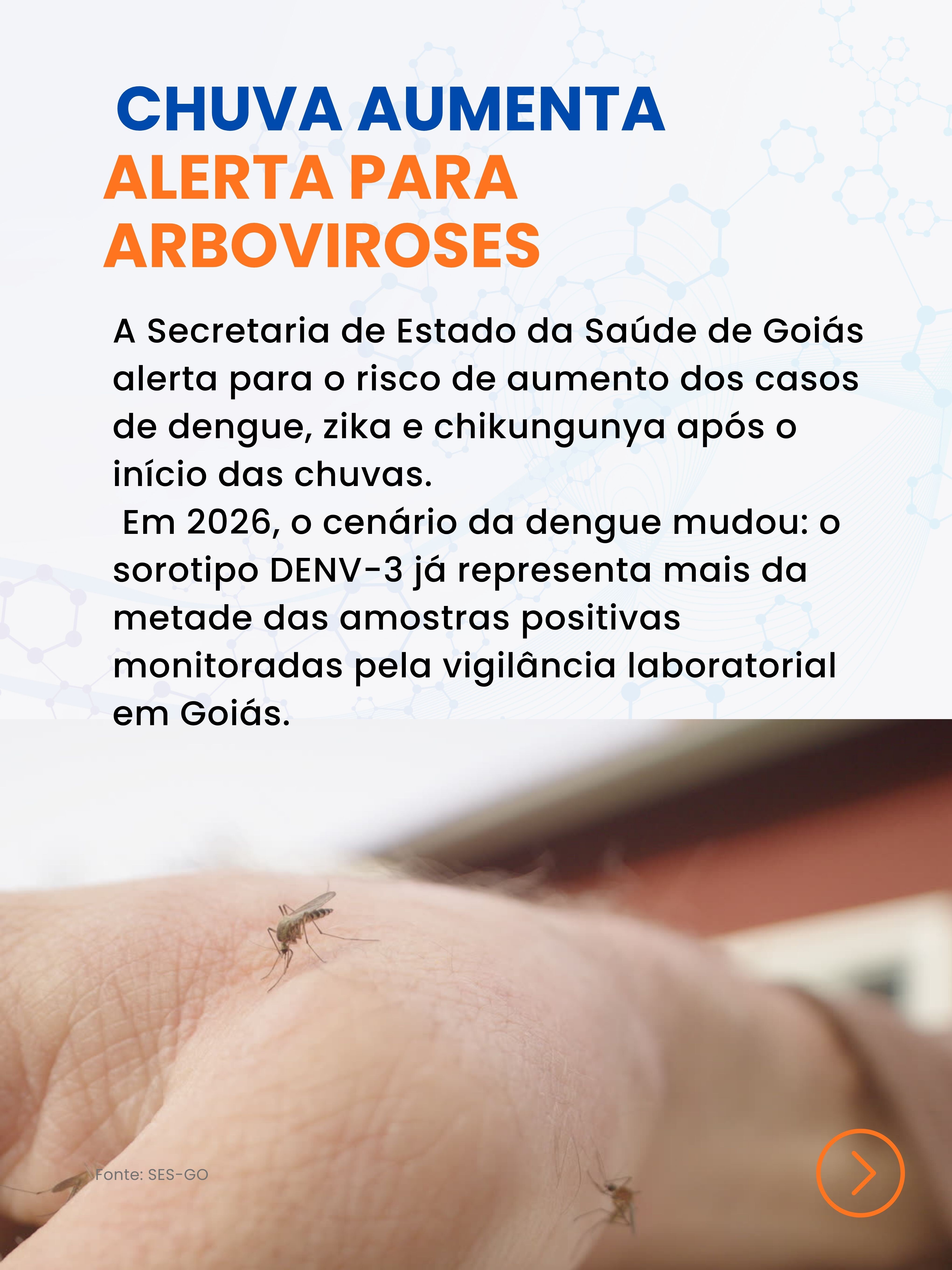  post dengue (6).jpg
