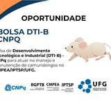  NOVO - Ilustração - IPTSP - Diversos.png
