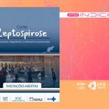 leptospirose site 
