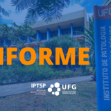 Governo Federal determina 17 de junho como ponto facultativo 2