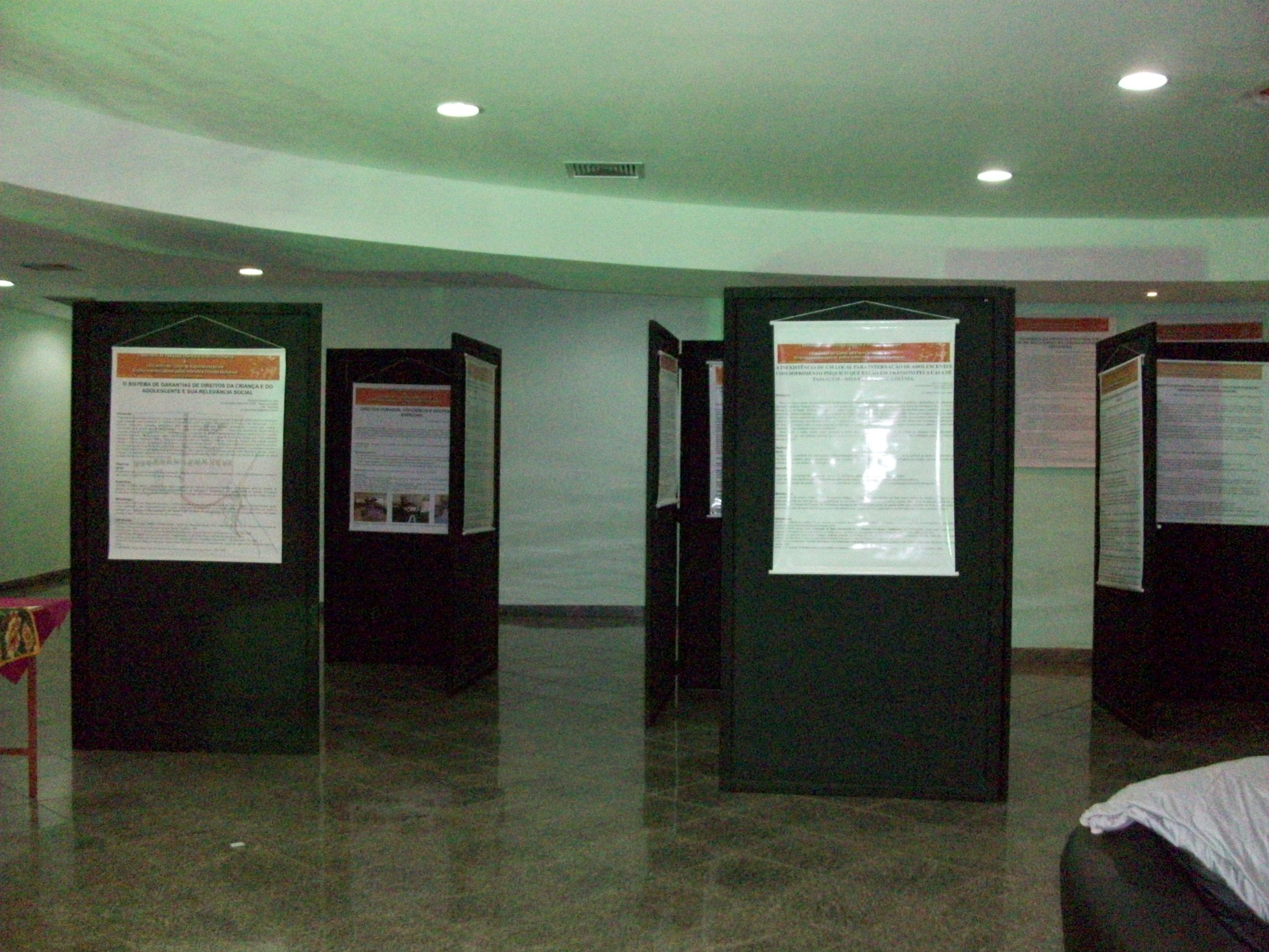Posters publicados do evento em biombos 