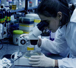 laboratorio