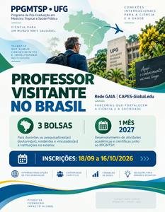 Professor visitante