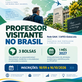Professor visitante