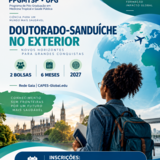 doutorado sanduiche