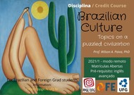 Disciplina internacional PPGE