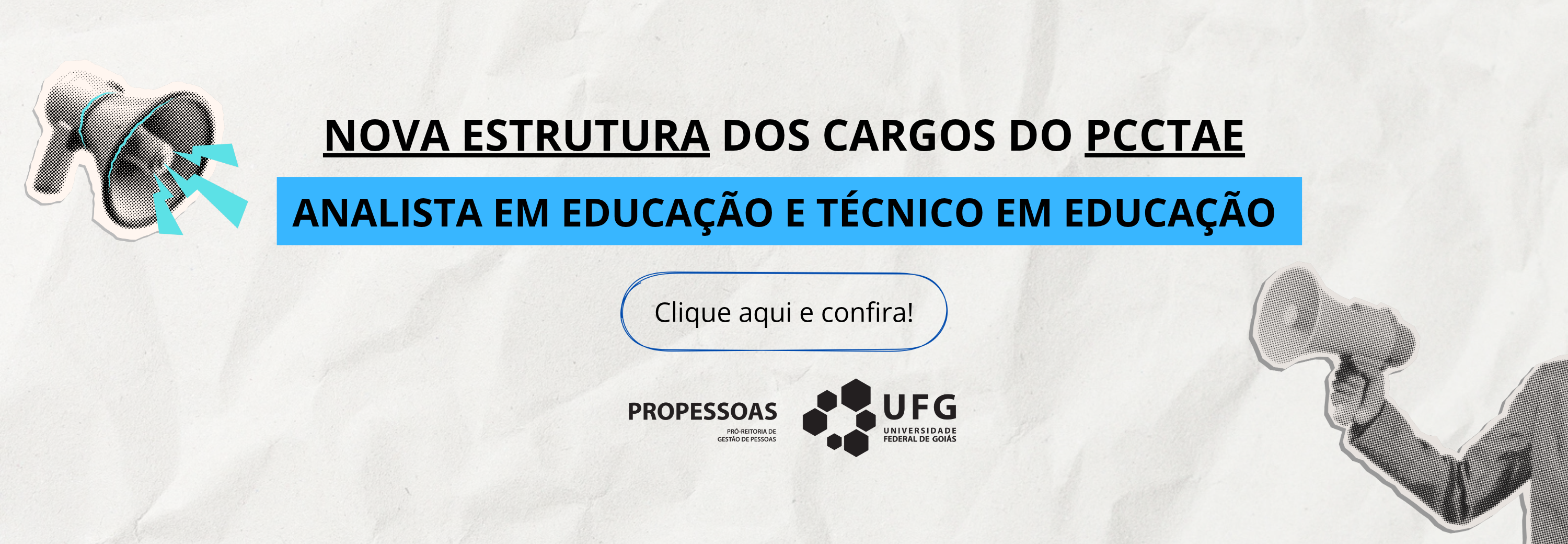 Nova estrutura PCCTAE - banner