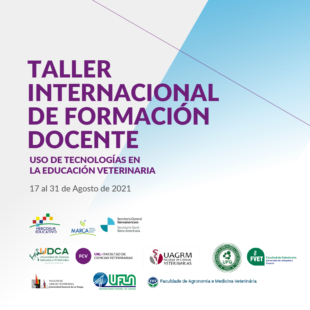 Flyer Taller.png