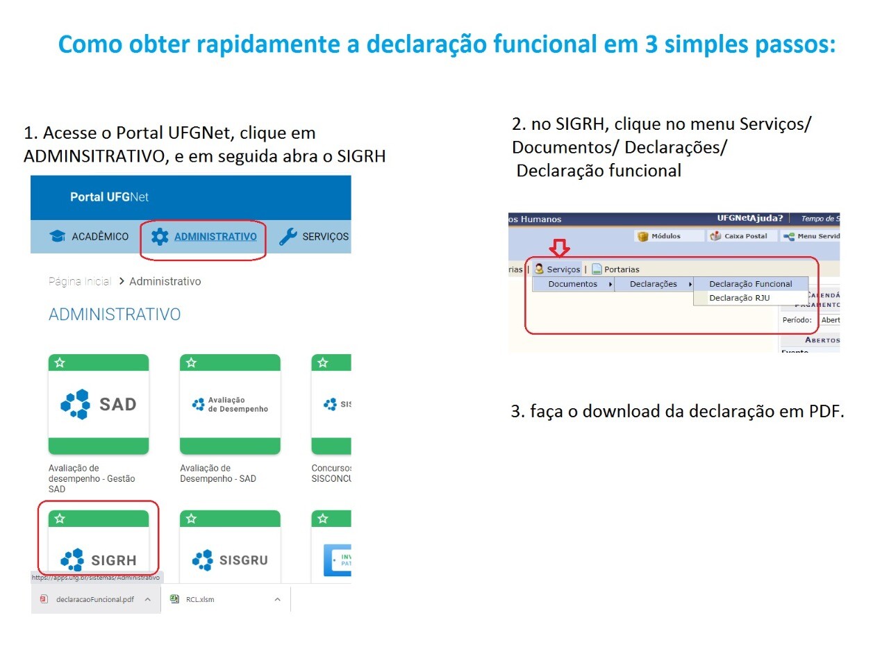 declaração sigrh