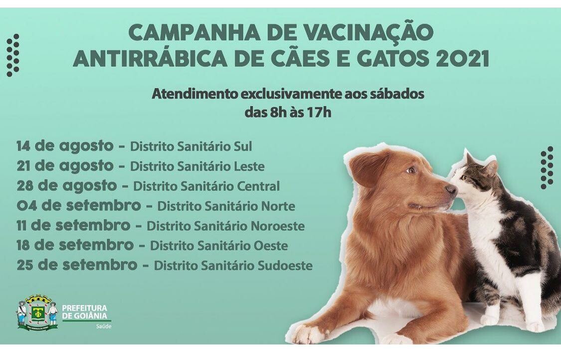 datas de vacinacao