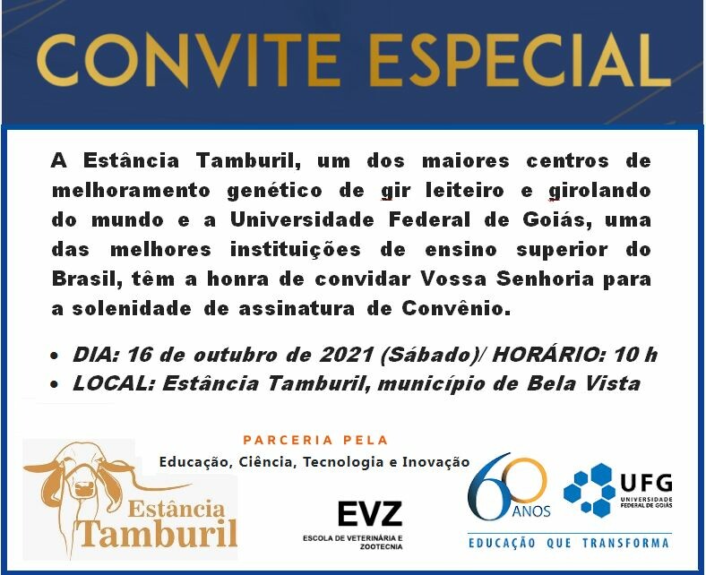 tamburil