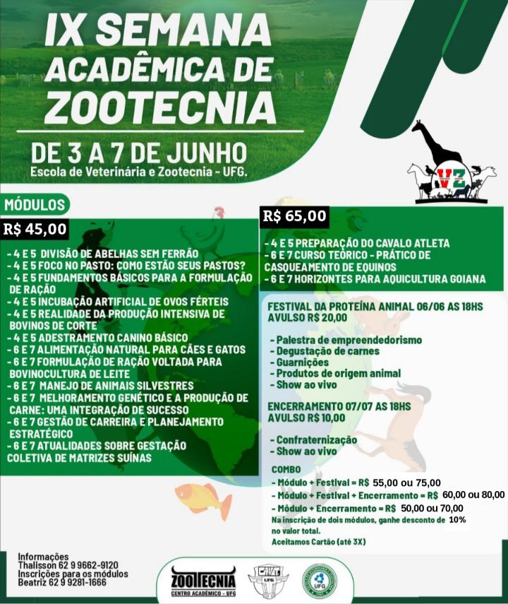 sezoo_2019