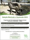 UFMG