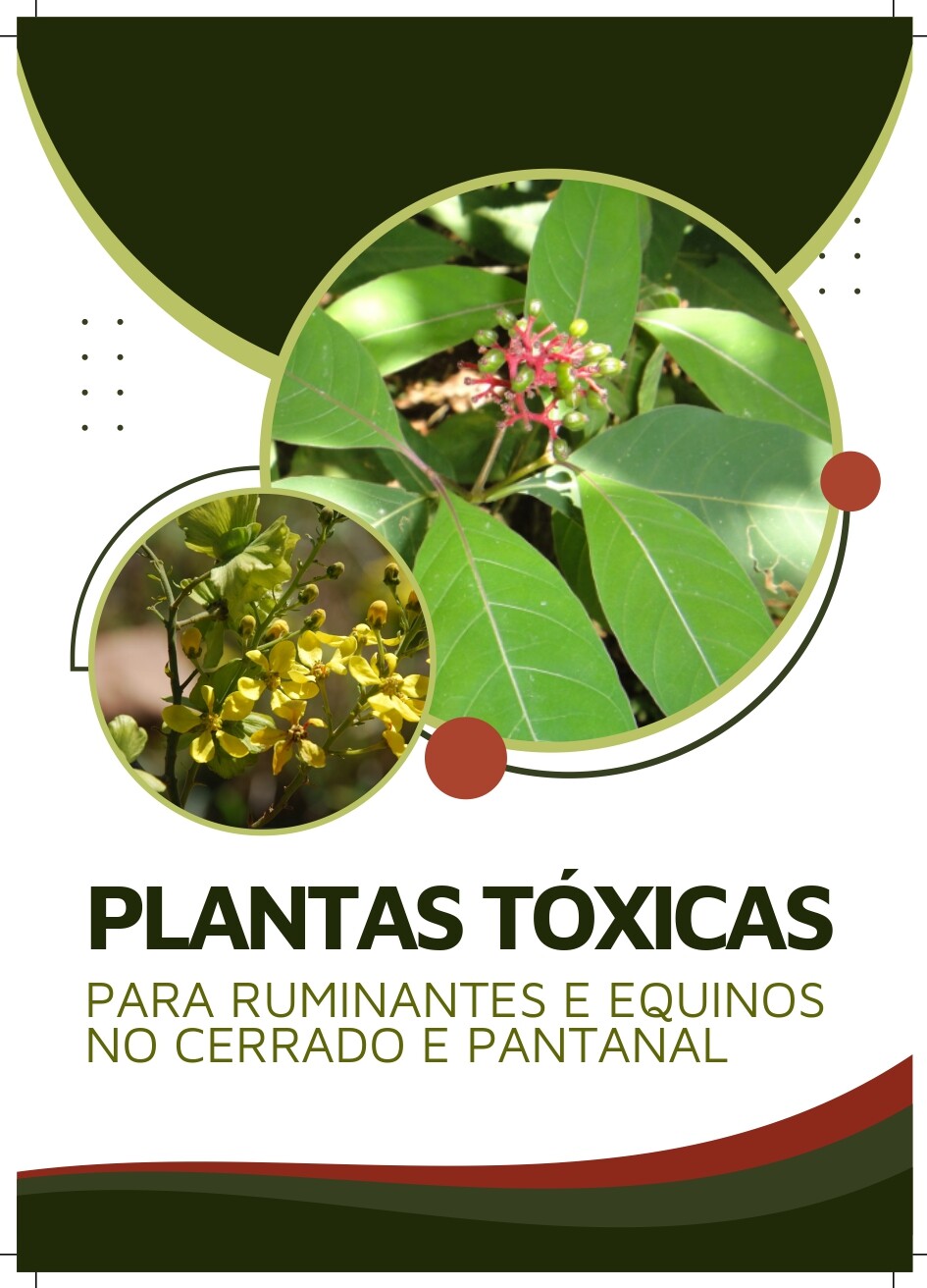 Capa Plantas Tóxicas
