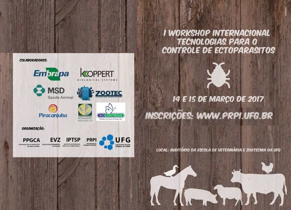 Programacao 1