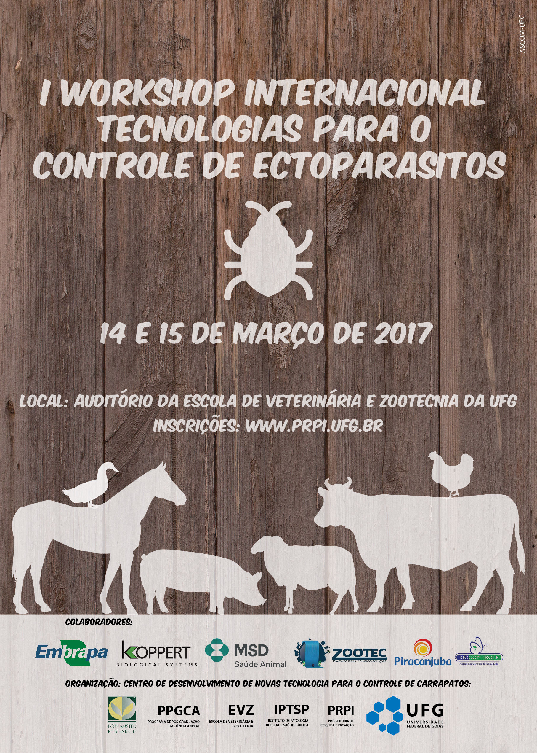 cartaz workshop