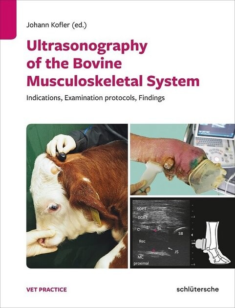 Capa Ultrasonography