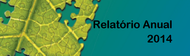 Relatório Anual PLS 2014