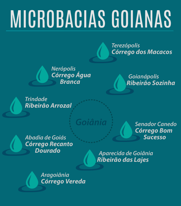Box microbacias