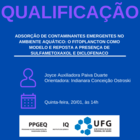 Qualificação Joyce