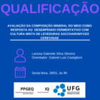 Qualificação Larissa