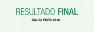 banner-resultadofinal-pnpd2016
