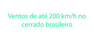 Link Coluna 28-01-2019 - Ventos no cerrado