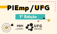 BANNER_NOTICIA_PIEMP