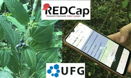 Banner_notícia_redcap