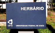 Herbário_1