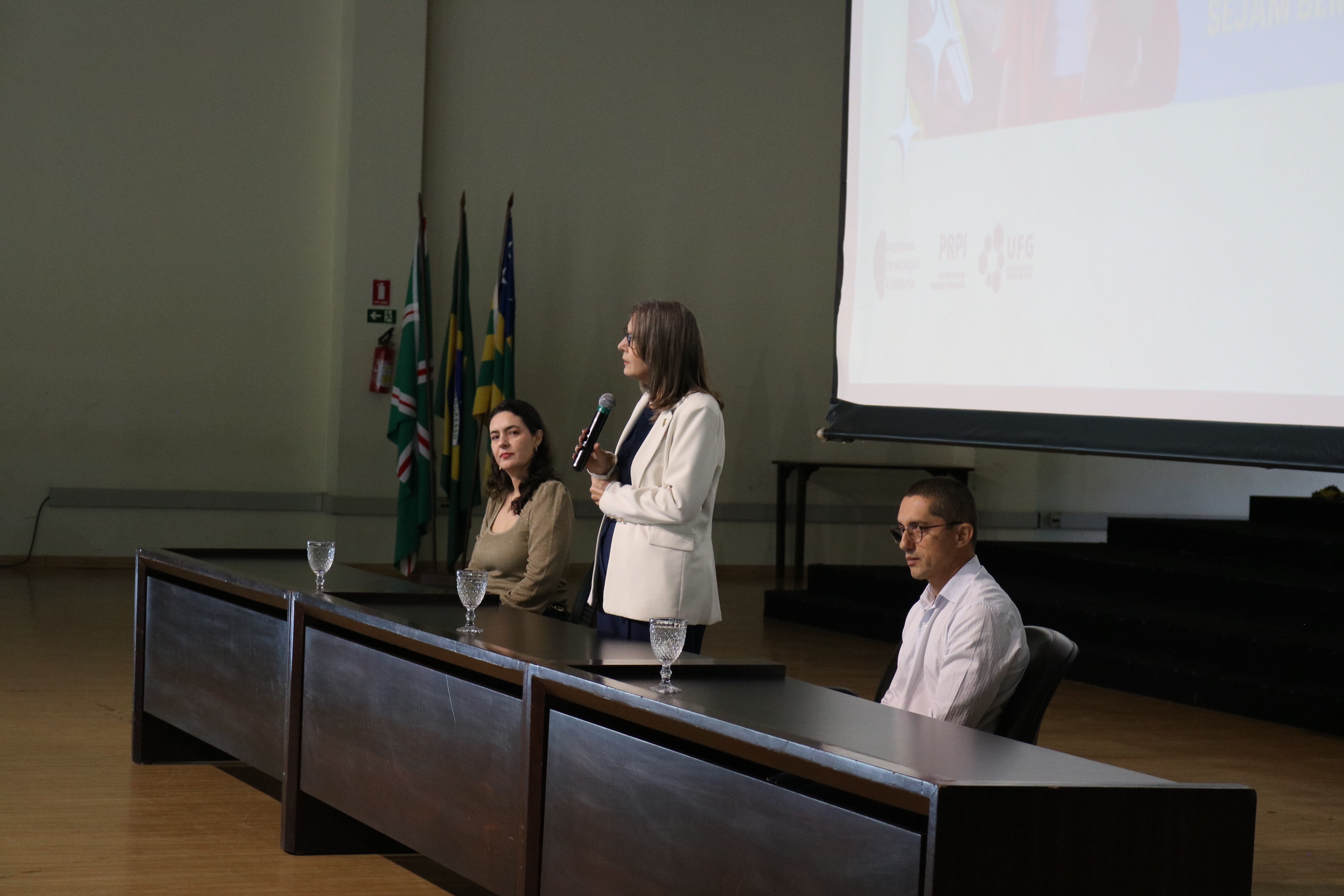 Foto 5_Reunião PIPUFG 20252026
