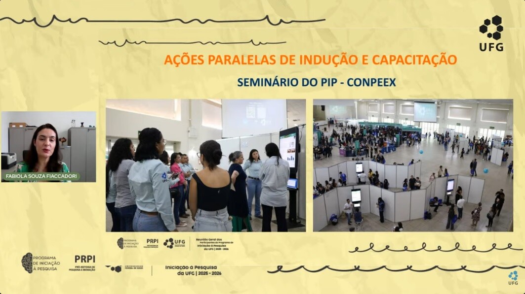 Imagem ilustrativa_Reunião virtual dos Participantes do PIP-UFG