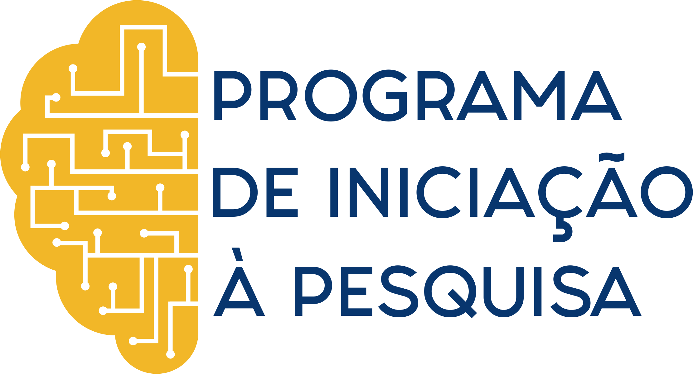 Logo PIP