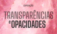 transparências e opacidades