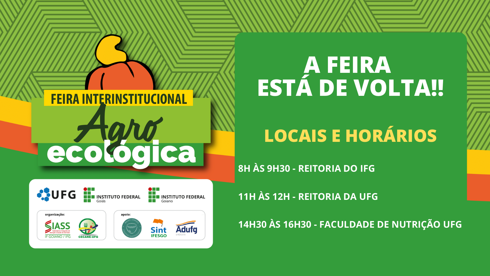Divulgação Feira Agroecológica - 1ª Edição - Agosto 2023