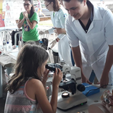Ciência_na_Feira_11.png Ciência_na_Feira_11.png